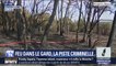 L'incendie qui a ravagé près de 500 hectares dans le Gard serait d'origine criminelle