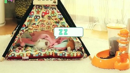 정선섹녀들◁정선출장안마 -후불100%ョOiOX7685X6221｛카톡LTE16｝ 정선전지역출장안마 정선오피걸 정선출장마사지 정선안마 정선출장마사지 정선콜걸샵ににに