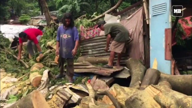 Namatay ang isang babae matapos mabagsakan ng puno ang bahay na kaniyang tinitirahan.