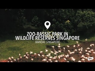 Dinosaurs are the latest attraction at Wildlife Reserves Singapore