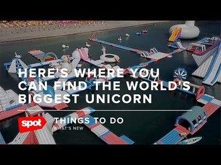 Exciting Additions for Inflatable Island in Subic