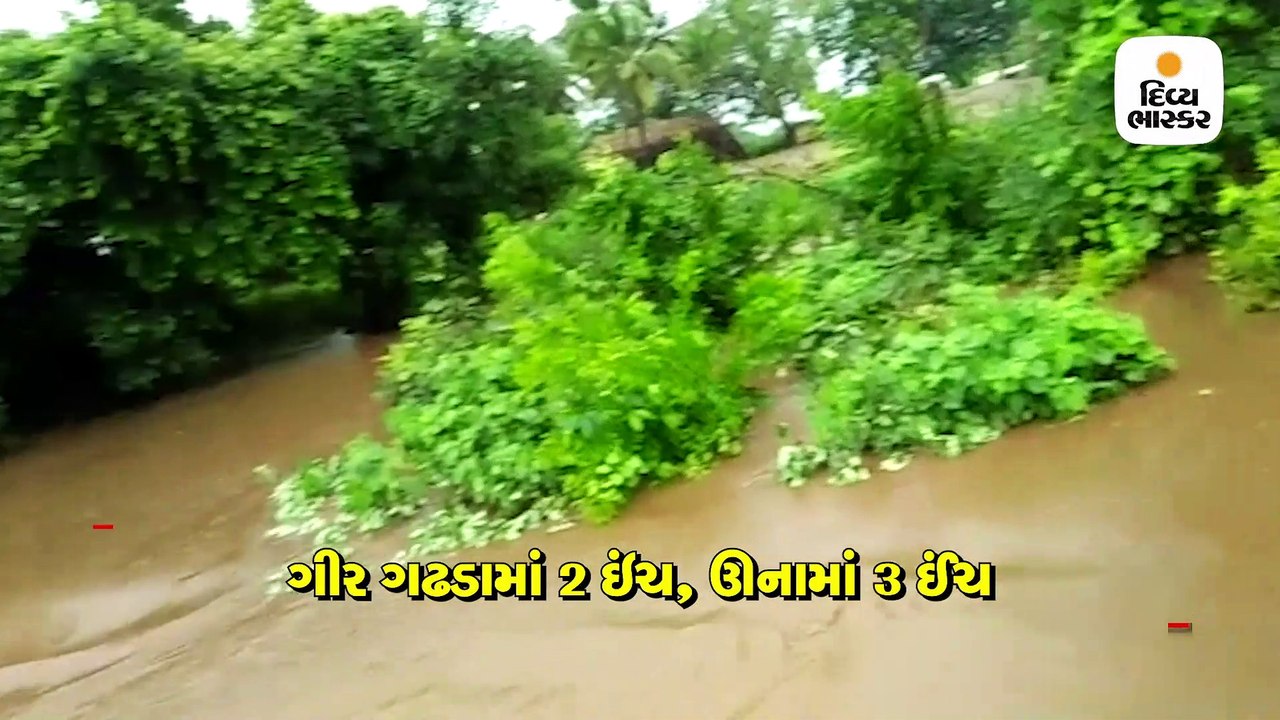 ગીર ગઢડામાં 2, ઉનામાં અઢી ઈંચ વરસાદ, ધોધમાર વરસ...