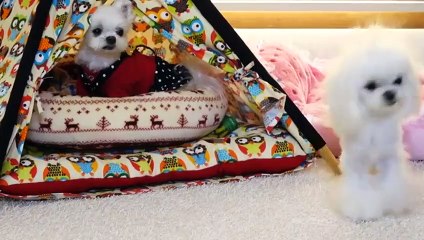 서울출장샵만남강추や서울출장안마 -후불100%ョO7OV7301V9649｛카톡LA25｝ 서울전지역출장안마 서울오피걸 서울출장마사지 서울안마 서울출장마사지 서울콜걸샵예약ややや