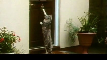 예천아로마출장샵추천≑예천출장안마 -후불100%ョO7OM7575M0054｛카톡OMO78｝ 예천전지역출장안마 예천오피걸 예천출장마사지 예천안마 예천출장마사지 예천콜걸샵후기◠◠◠