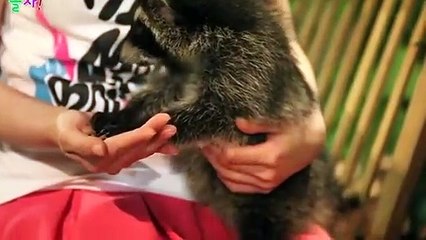 거창애인대행후기≑거창출장안마 -후불100%ョO7OW7333W9649｛카톡LGT010｝ 거창전지역출장안마 거창오피걸 거창출장마사지 거창안마 거창출장마사지 거창콜걸샵후기∷∷∷