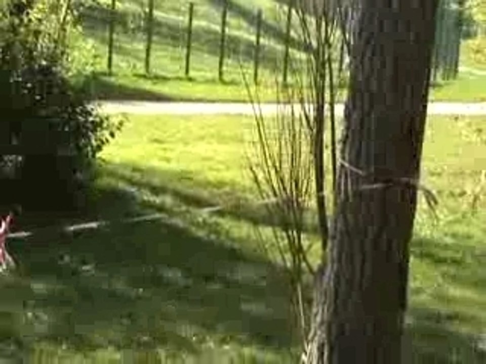 Course xavier etampes