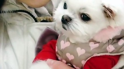 오산애인대행가격단속≑오산출장안마 -후불100%ョOiON7362N3210｛카톡VR91｝ 오산전지역출장안마 오산오피걸 오산출장마사지 오산안마 오산출장마사지 오산콜걸샵후기⾭⾭⾭