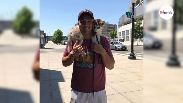 Ce militaire confie son chien avant de partir en mission : à son retour, la situation est totalement irréelle