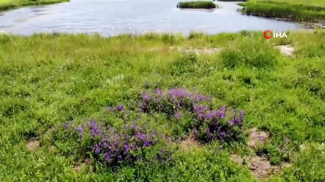Gölbel Göleti, Keşfedilmemiş Güzelliğiyle Turizmcileri Bekliyor