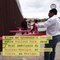 Des balançoires roses sur le mur de la frontière américano-mexicaine