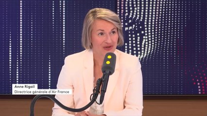 Nouvelle taxe sur les billets d'avion : "Il n'est pas possible" d'augmenter les prix "dans une concurrence totale", promet Anne Rigail