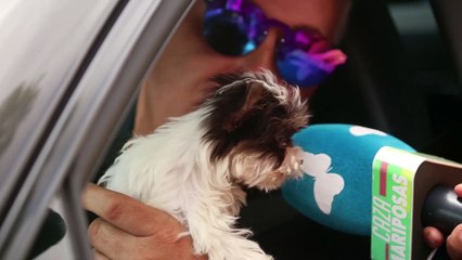 Así es el nuevo amor de Isabel Pantoja