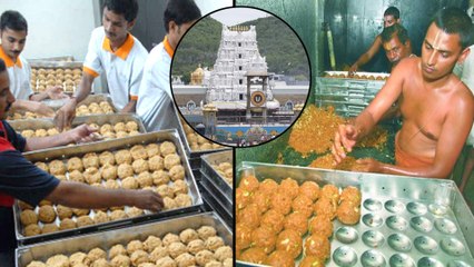 తిరుమల లడ్డూకు 304 ఏళ్ళు || Tirumala Srivari Laddu 304th Birthday Viral In Social Media || Oneindia