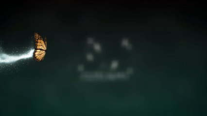 Adobe After Effects free Template  Butterfly Dark Version