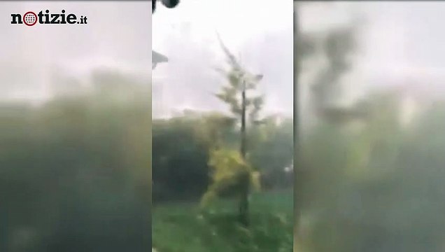 Tromba d’aria a Treviso: grandine e alberi sradicati a Zenson | Notizie.it