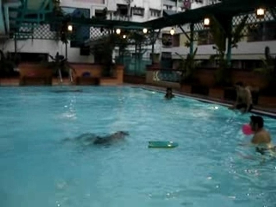 Morgan et Tico chez moi Bangkok