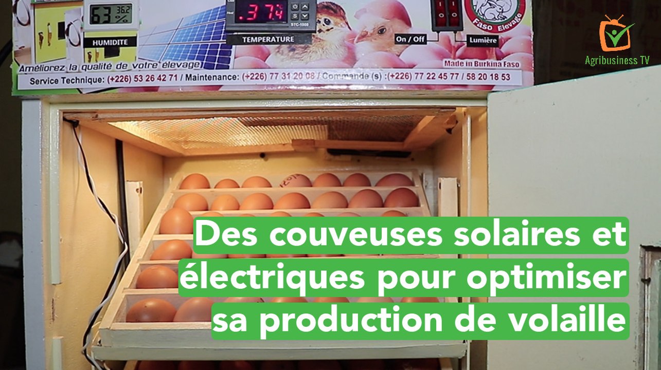 Burkina Faso: Solar and electric incubators to...