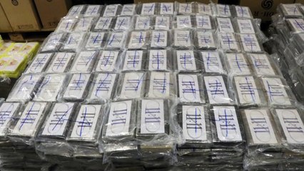 Kokain für eine Milliarde Euro in Hamburger Hafen gefunden