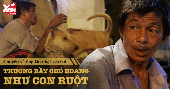 Lão Hạc nhặt ve chai thương bầy chó hoang như con ruột | Chuyện cổ tích đời thường