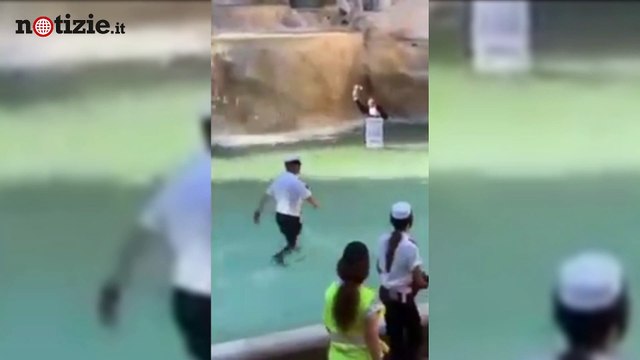 Fontana di Trevi, fa il bagno nel monumento: l'azione della polizia | Notizie.it