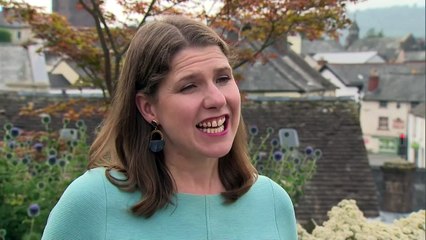 Liberal Democrat win is 'very significant' says leader