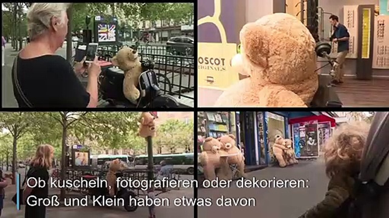 Die kuscheligsten Einwohner von Paris