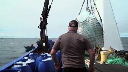 Klimawandel lässt bei Eisberg-Jägern die Kassen klingeln