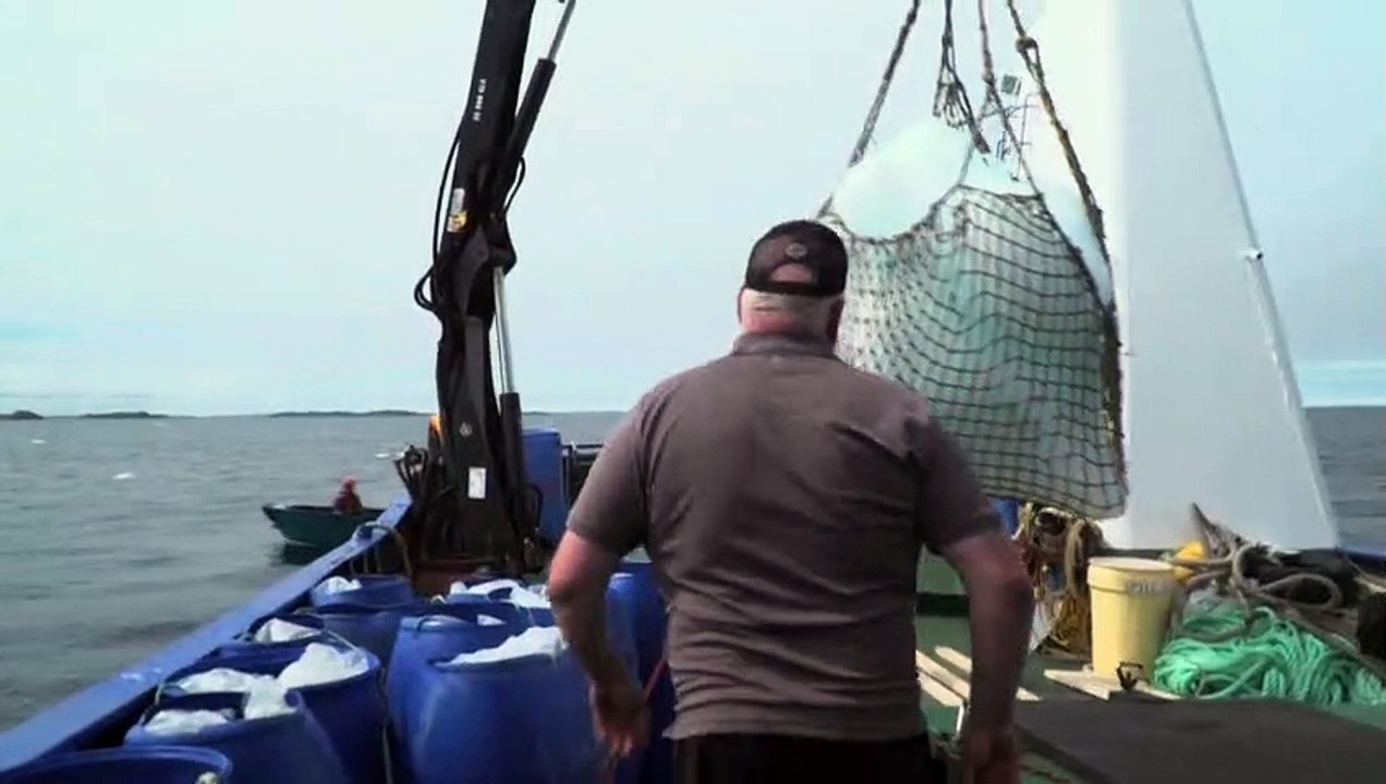 Klimawandel lässt bei Eisberg-Jägern die Kassen klingeln