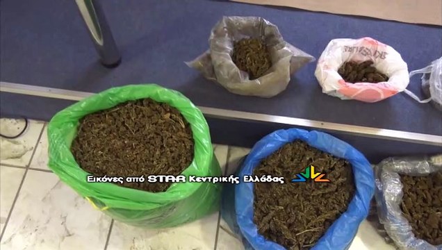 Εξάρθρωση εγκληματικής οργάνωσης για χασισοφυτεία, όπλα και ναρκωτικά σε Φωκίδα και Φθιώτιδα