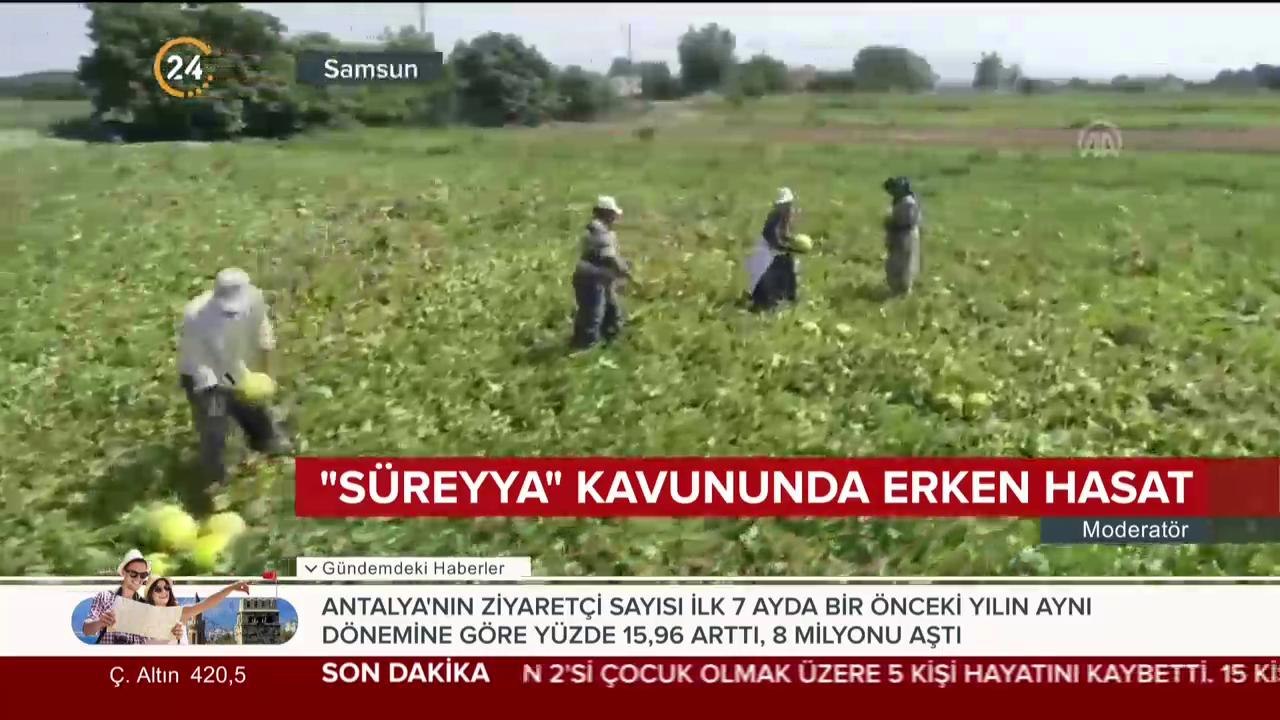 Tezgahlarda yerini aldı