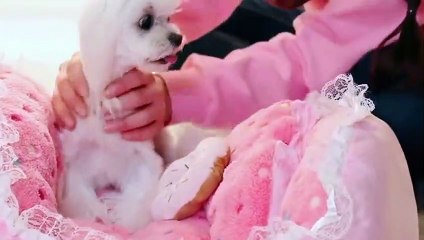 송정출장안마 -후불100%ョO7OX7575X0069｛카톡RD654｝  송정전지역출장안마 송정오피걸 송정출장마사지 송정안마 송정출장마사지 송정콜걸샵㌴㌾∩