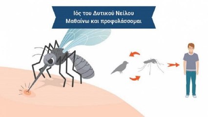 2 νεκροί - 25 κρούσματα από τον ιό του Δυτικού Νείλου