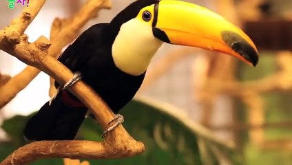 제주콜걸샵추∮제주출장안마 -후불100%ョOiOX7685X6221｛카톡LTE16｝ 제주전지역출장안마 제주오피걸 제주출장마사지 제주출장안마 제주출장마사지 제주콜걸샵ち◧⊆