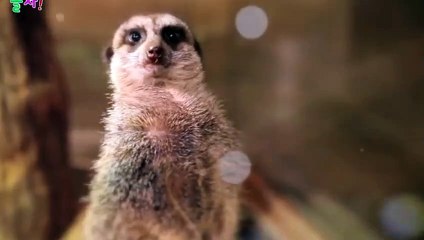 평창출장안마 -후불100%ョOiON6622N4421｛카톡XN94｝ 평창전지역출장안마 평창오피걸 평창출장마사지 평창안마 평창출장마사지 평창콜걸샵⻖≱㌵