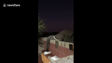 'Thirsty' elephant caught opening tap to drink water from sink in Botswana camp