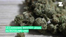 D'ici quelques années, le cannabis pourrait être légalisé au Royaume-Uni