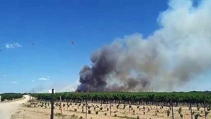 Générac : reprise de l'incendie dans les  Costières vendredi 2 août