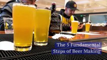 The 5 Fundamental Steps of Beer Making (International Beer Day)