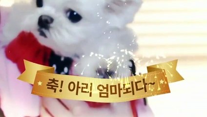 나주출장안마 -후불100%ョO7OX7575X0054｛카톡USA16｝ 나주전지역출장안마 나주오피걸 나주출장마사지 나주안마 나주출장마사지 나주콜걸샵㌶◛が