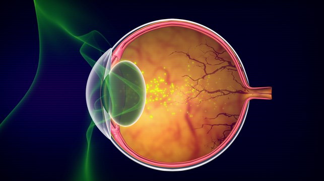 Contact lenses zoom in the blink of an eye — Future Blink