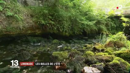 Boissons de l'été : le succès de la limonade française