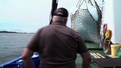 La ruée vers l'or blanc des chasseurs d'icebergs canadiens