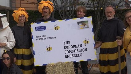 Haftanın NoComment'leri: Hong Kong, Belçika, Fransa, Çin ve ABD'den çarpıcı görüntüler