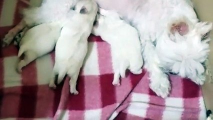 밀양출장안마 -후불100%ョOiON7362N3210｛카톡RQ43｝ 밀양전지역출장안마 밀양오피걸 밀양출장마사지 밀양안마 밀양출장마사지 밀양콜걸샵≴ごぶ