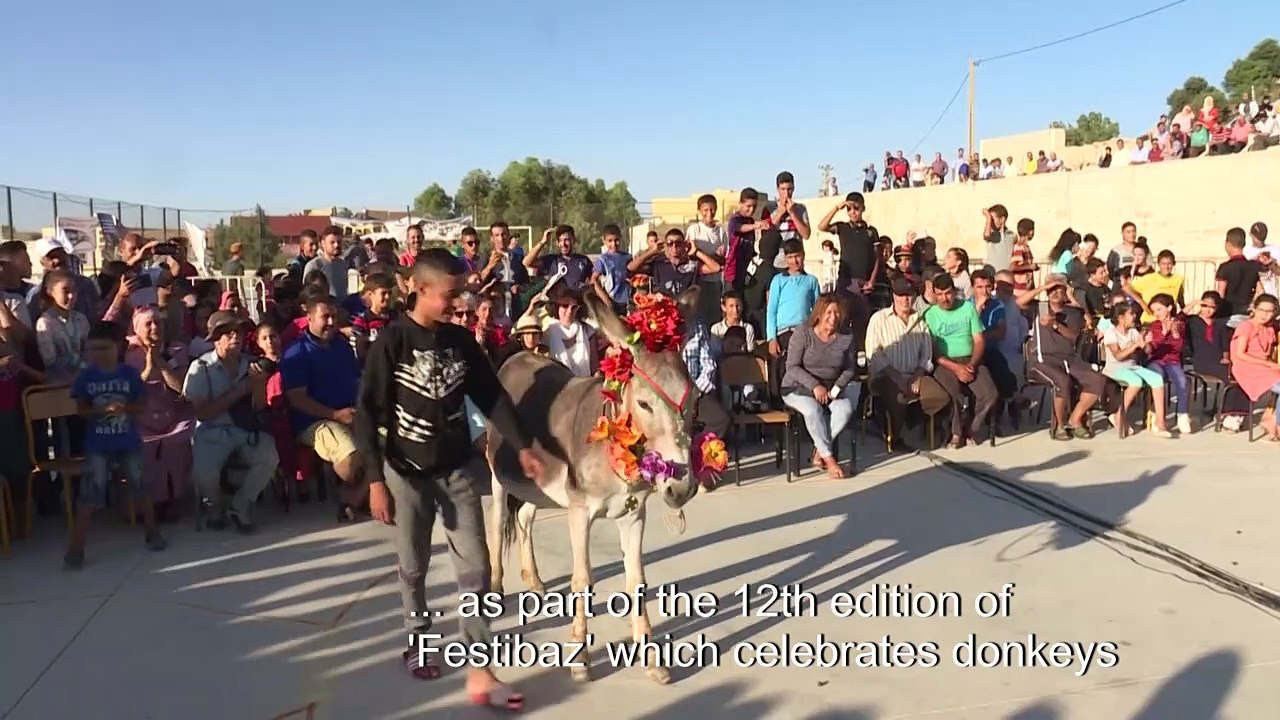 'Cleopatra' wows Moroccan village at donkey pageant