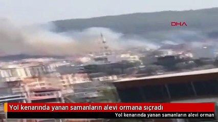 Yol kenarında yanan samanların alevi ormana sıçradı