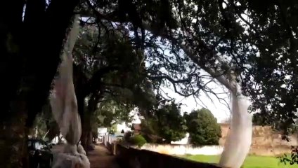 Vento arranca rede de proteção em obra no Centro