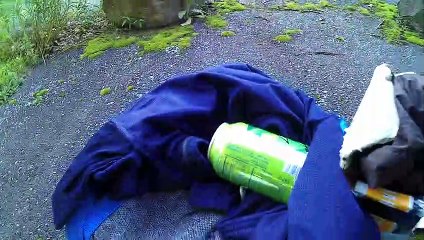 24 Fatima Pilgrimage walk across USA  # Snake Skin and mountain DEW