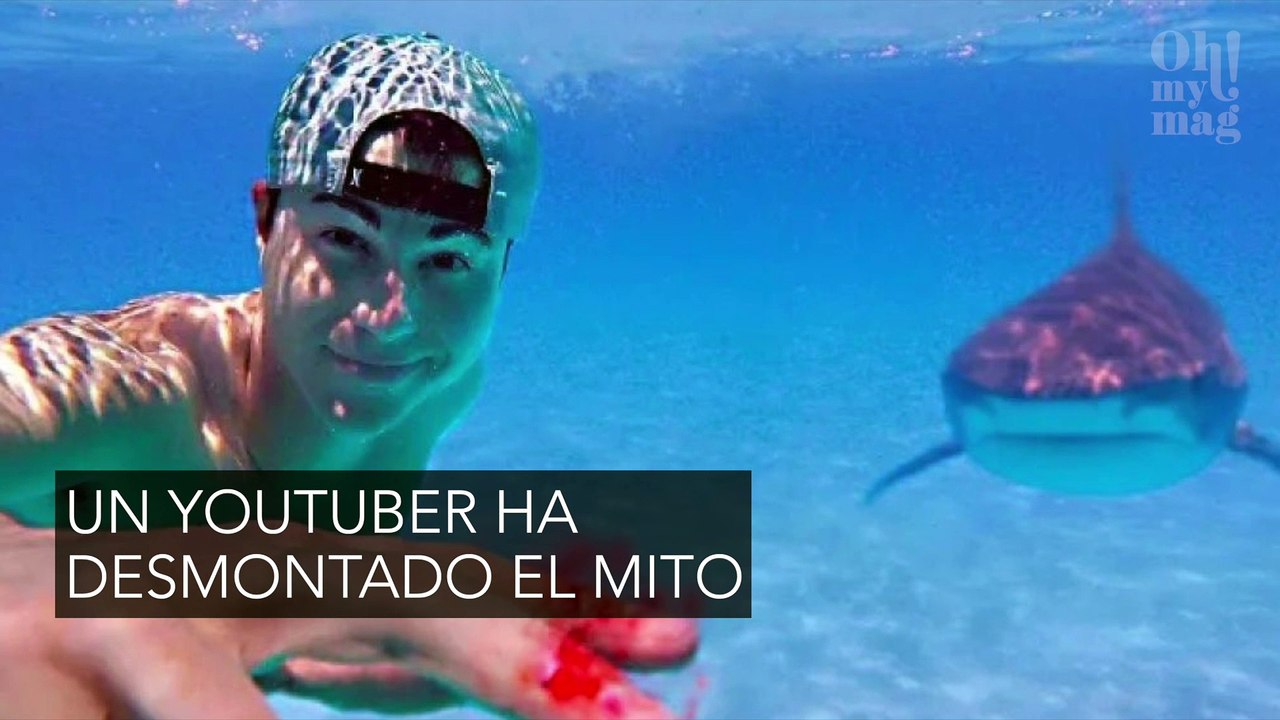 tiburon