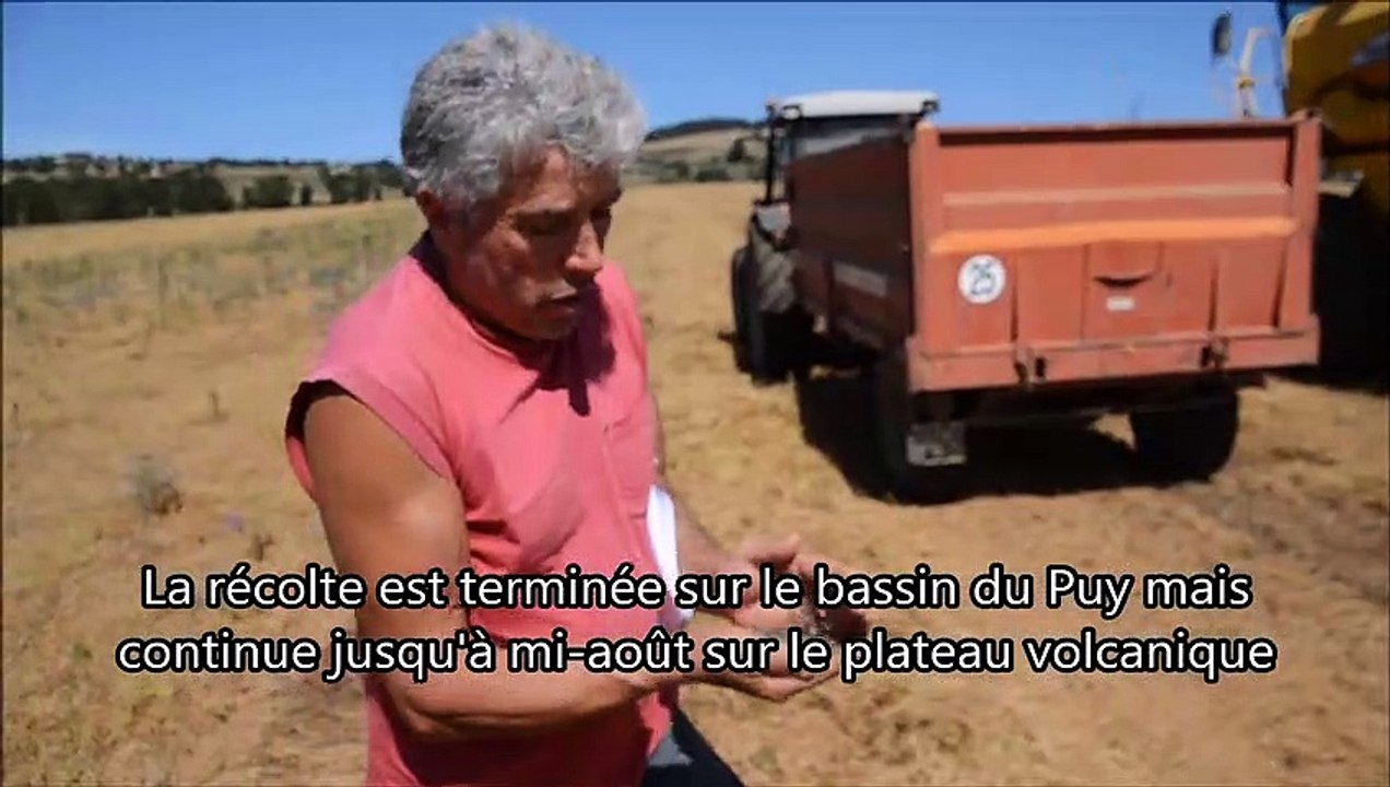 Jean-François Beraud, producteur de lentilles vertes du Puy